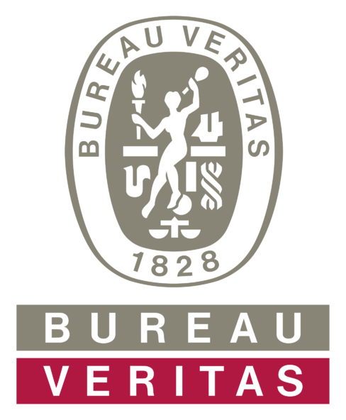 Bureau Veritas logo, icon version, on a transparent background