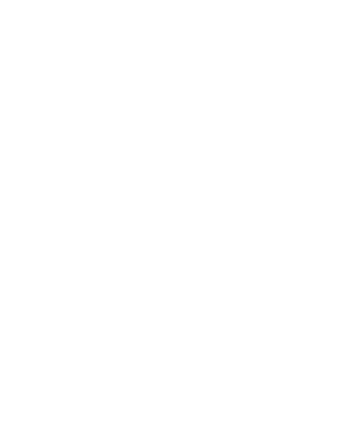 Bureau Veritas logo, white icon version, on a transparent background