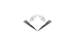 Logo Bushmaster, version blanc, sur fond transparent