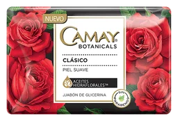Logo Camay, version horizontal, sur fond transparent