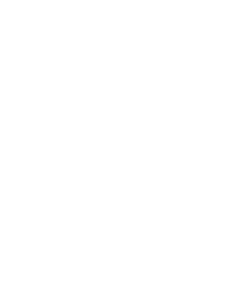 Campagnolo logo, white version, on a transparent background