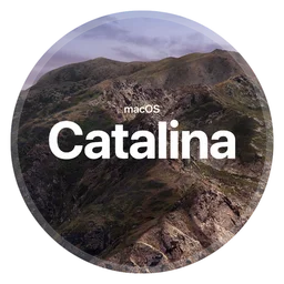 Catalina logo, monochrome icon version, on a transparent background