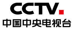 CCTV logo