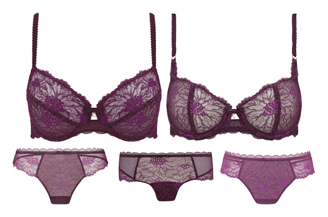 Chantelle Paris logo on a transparent background