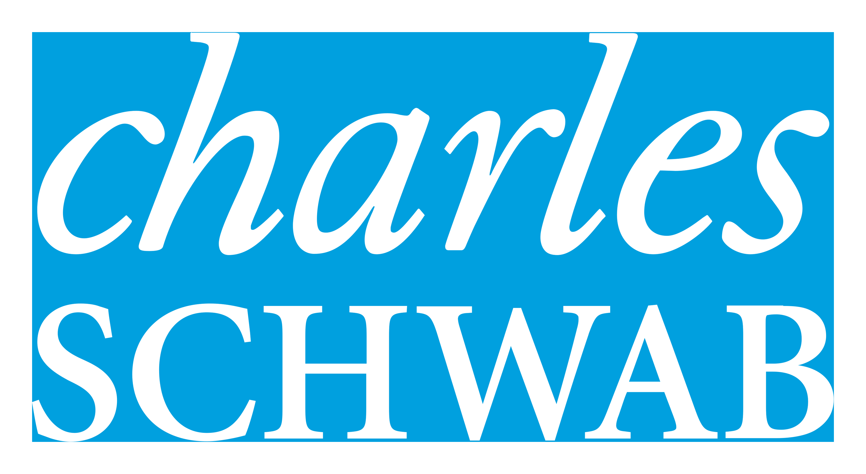 Charles Schwab logo on a transparent background