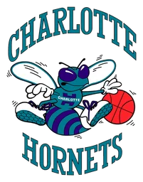 Charlotte Hornets logo