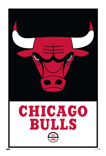 Chicago Bulls logo, horizontal version, on a transparent background