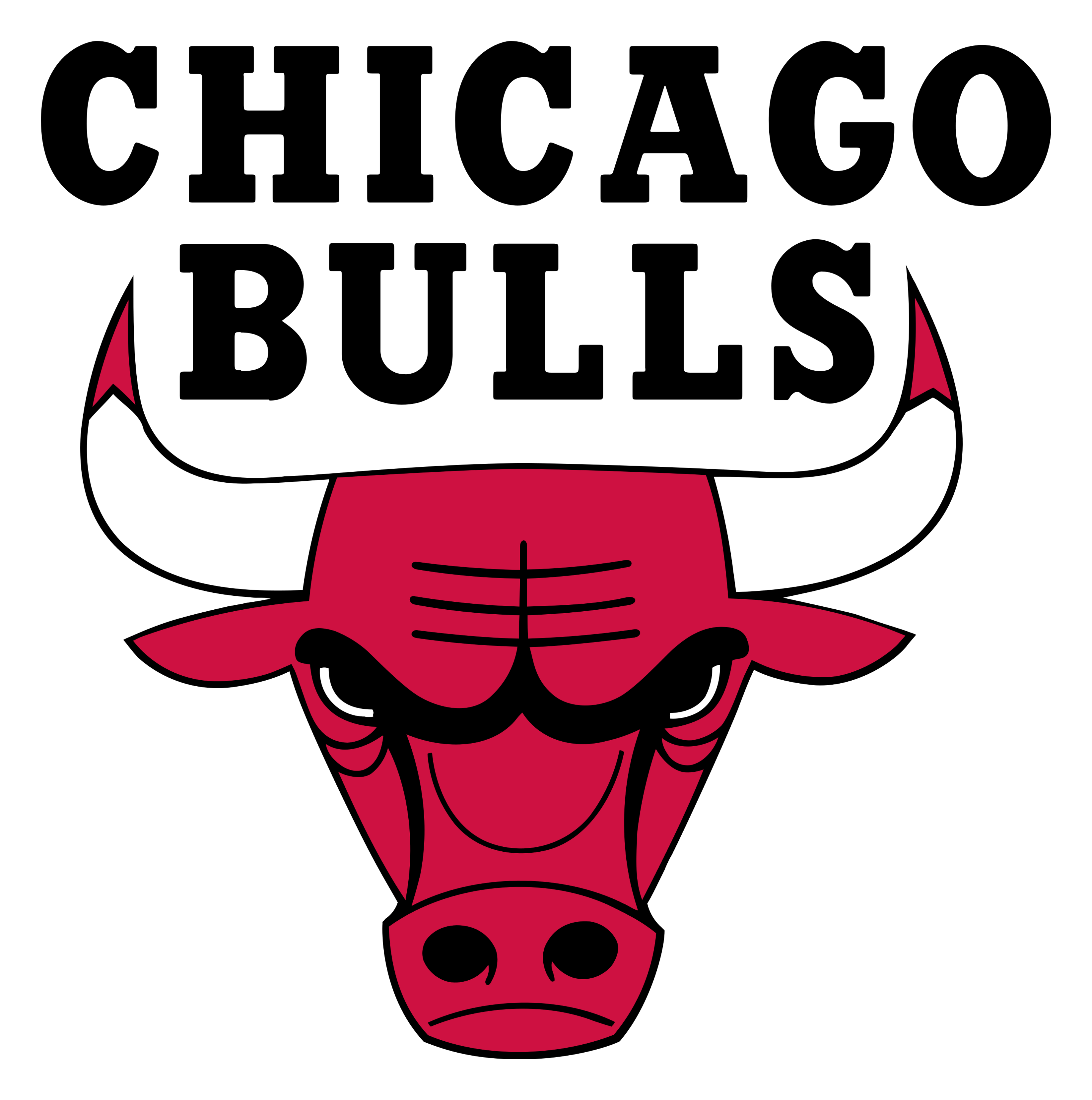 Chicago Bulls logo on a transparent background