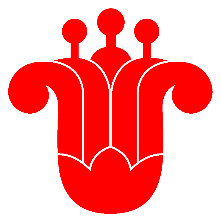 China Southern logo, icon version, on a transparent background