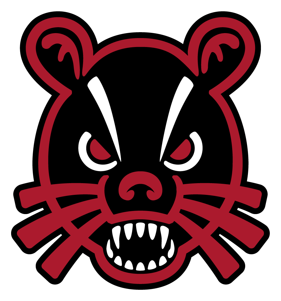 Cincinnati Bearcats logo, icon version, on a transparent background