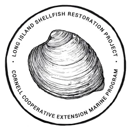 Clams logo, white icon version, on a transparent background