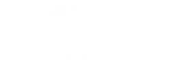 Coty logo, white wordmark version, on a transparent background