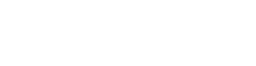 Daily Star logo, white wordmark version, on a transparent background