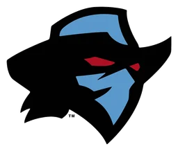 Dallas Renegades logo