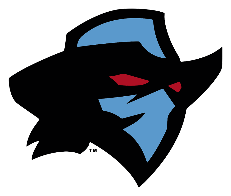 Dallas Renegades logo on a transparent background