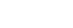 Dassault Aviation logo, white wordmark version, on a transparent background