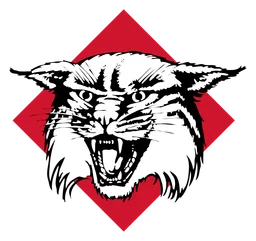 Davidson College logo, icon version, on a transparent background