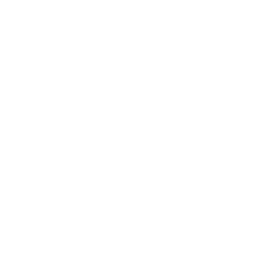 Logo Demarini, version icône blanc, sur fond transparent
