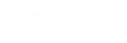 Desigual logo, white wordmark version, on a transparent background