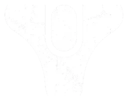 Destiny logo, white version, on a transparent background