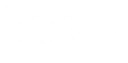 Dicks Sporting Goods logo