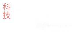 Digital China logo, white version, on a transparent background