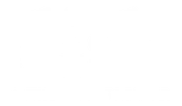 Dish Network Logo, Variante weiß, auf transparentem Hintergrund