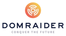 Domraider logo, horizontal version, on a transparent background