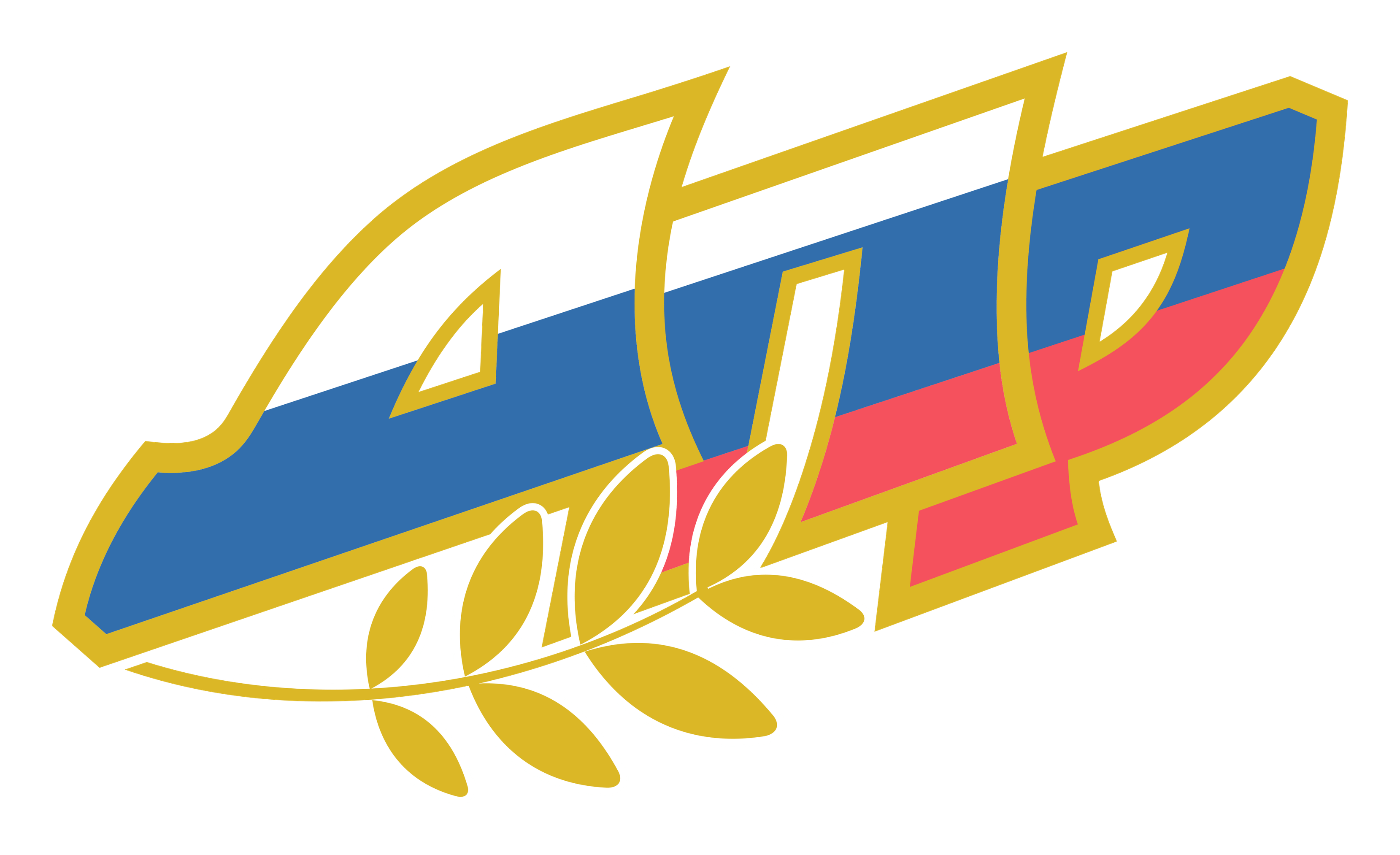 Logo DPR sur fond transparent