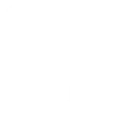 DWP logo, white icon version, on a transparent background