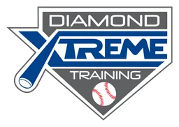 DXT logo, horizontal version, on a transparent background