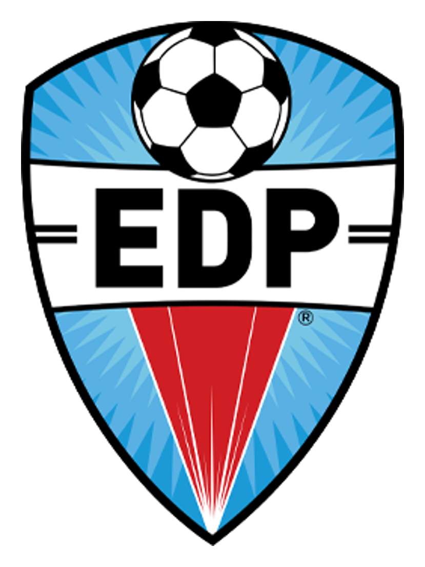 Edp logo, horizontal version, on a transparent background