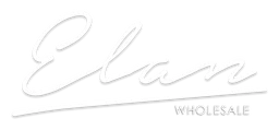Elan logo, white version, on a transparent background