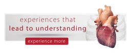 Elara Systems logo