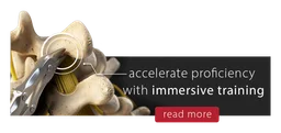 Elara Systems logo, horizontal version, on a transparent background