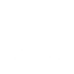 Elrond Egld logo, white icon version, on a transparent background
