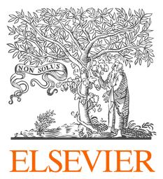Elsevier logo