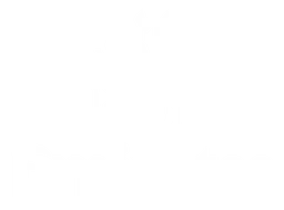 Emirates Airlines logo, white version, on a transparent background
