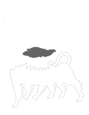 Eni logo, white version, on a transparent background