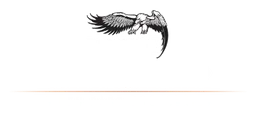 Ernie Ball logo, white version, on a transparent background