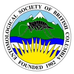 Esbc logo, icon version, on a transparent background