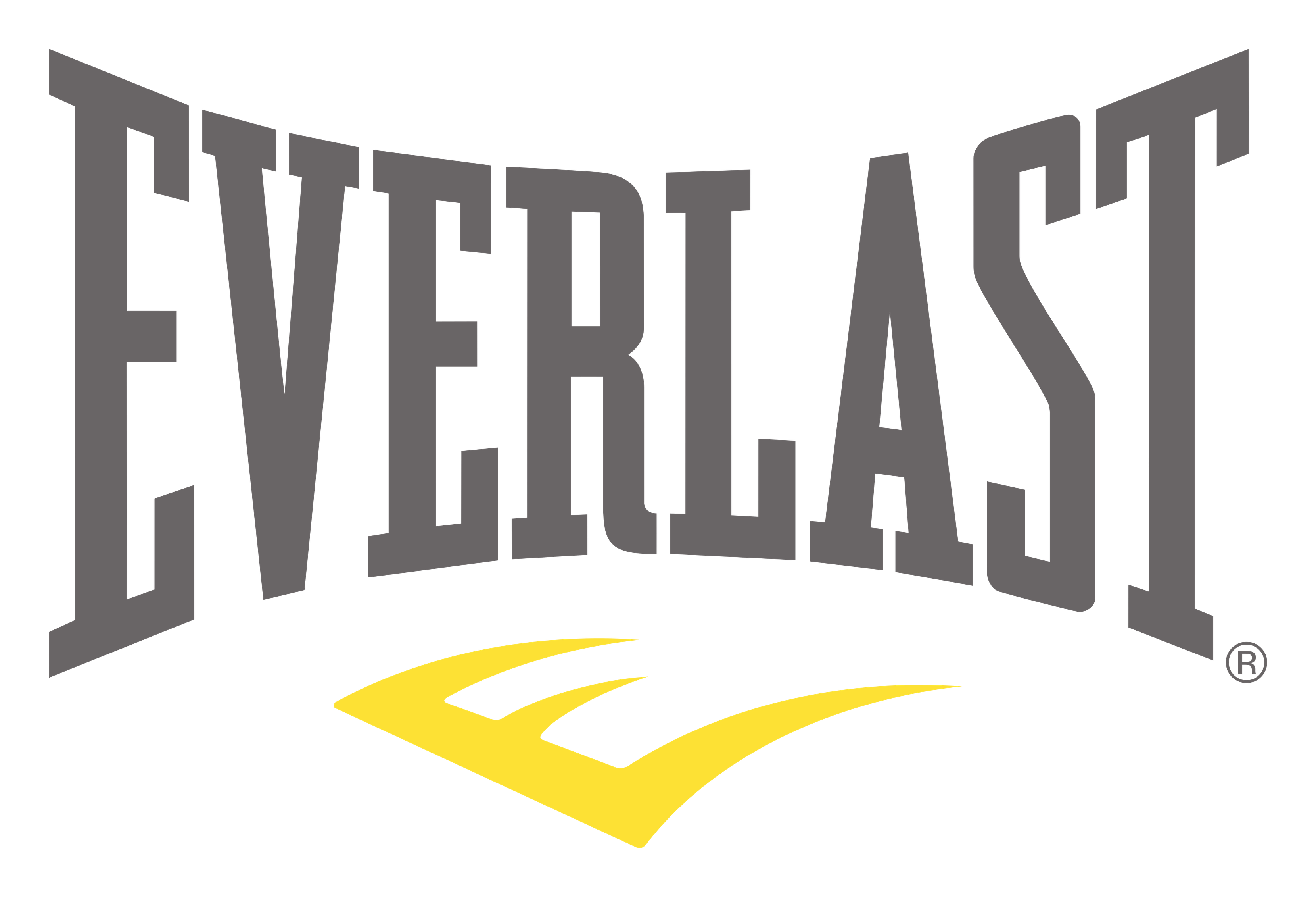 Everlast logo on a transparent background