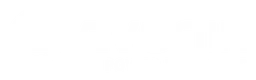 Evonik logo, white wordmark version, on a transparent background