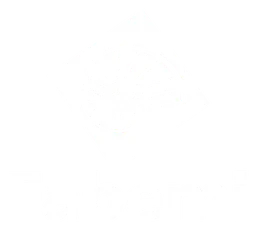 Fabemi logo, white icon version, on a transparent background