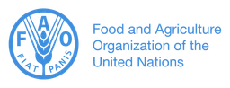 Fao logo, wordmark version, on a transparent background