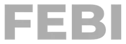 Febi logo, monochrome wordmark version, on a transparent background