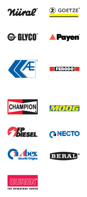 Federal Mogul Logo, Variante horizontal, auf transparentem Hintergrund