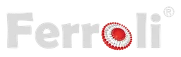 Logo Ferroli, version logotype, sur fond transparent