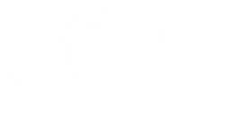 Festina logo, white version, on a transparent background