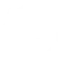 Firefox logo, white icon version, on a transparent background